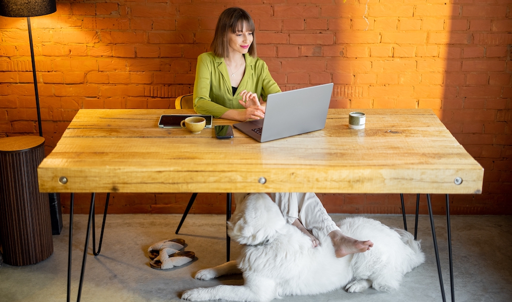 The Everywhere Workplace