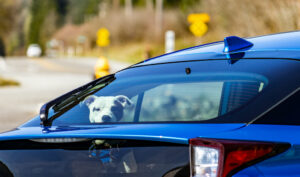 look back at top 5 podcasts