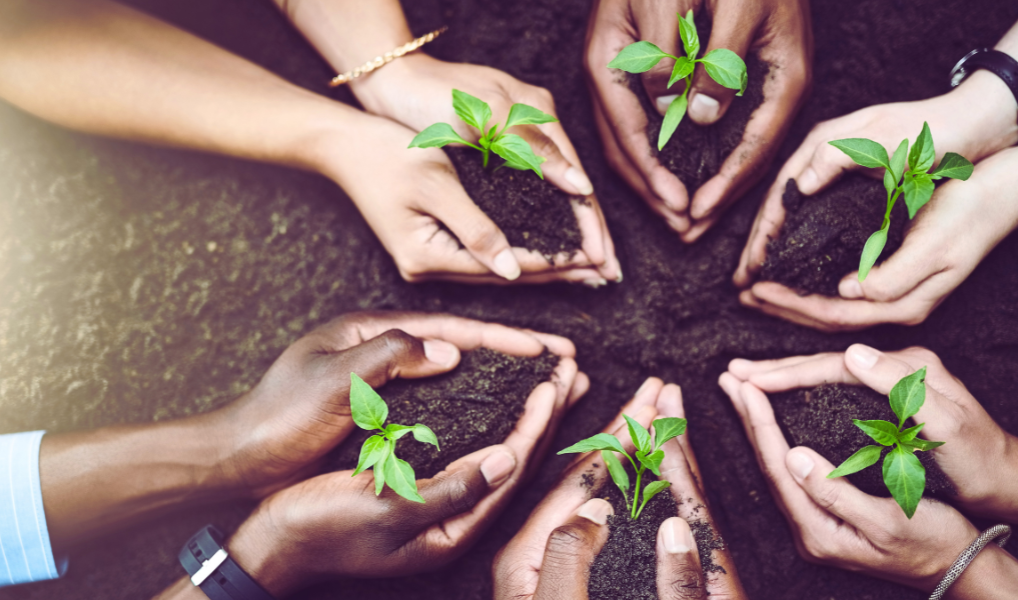 Employee Ownership How Does it Life Company Culture - TalentCulture